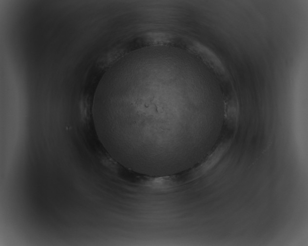 X0000100900382200806241257