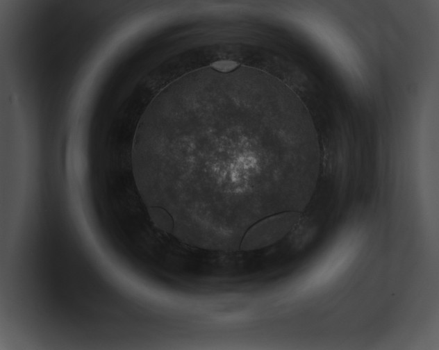X0000100900383200806241257