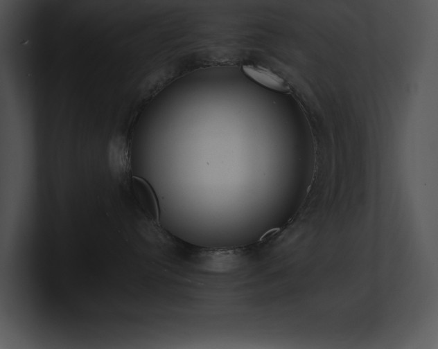 X0000100900384200806241257