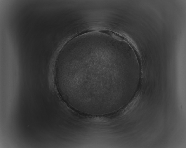 X0000100900385200806241257