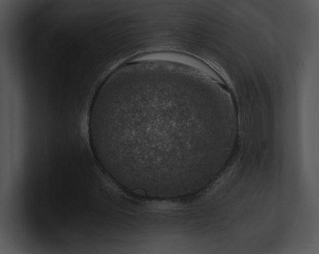 X0000100900389200806241257