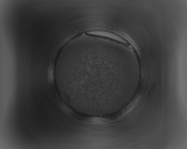 X0000100900393200806241257