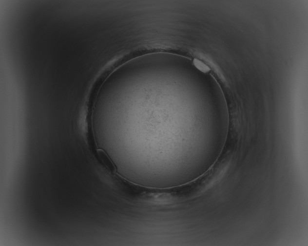 X0000100900395200806241256