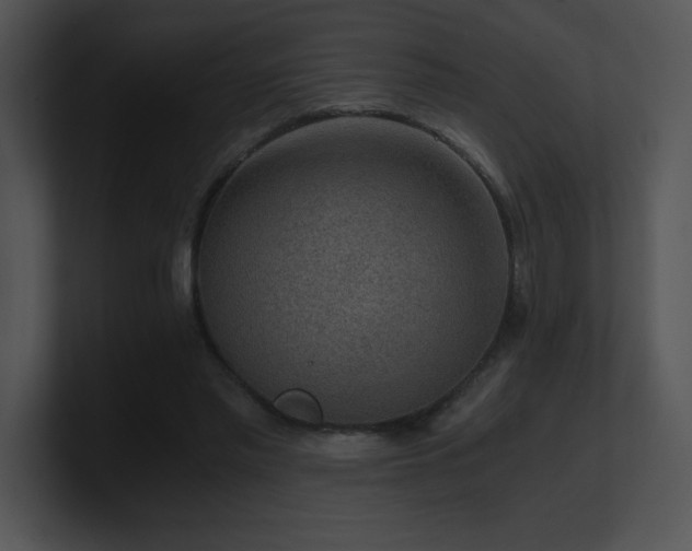X0000100900397200806241256