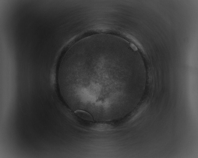 X0000100900399200806241256