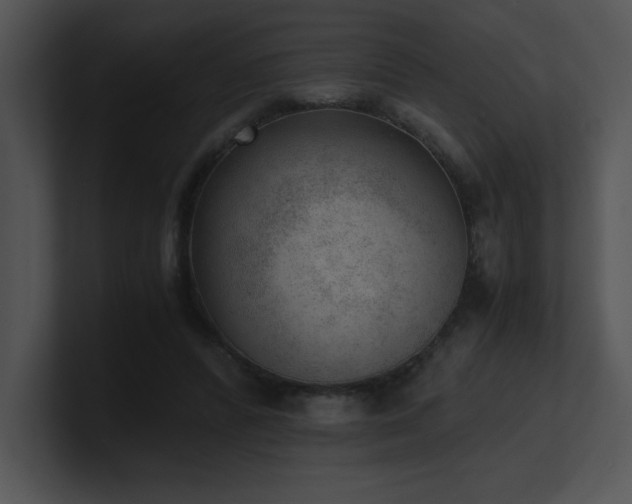 X0000100900400200806241256