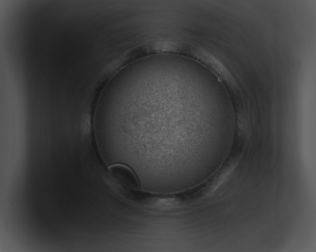 X0000100900401200806241256