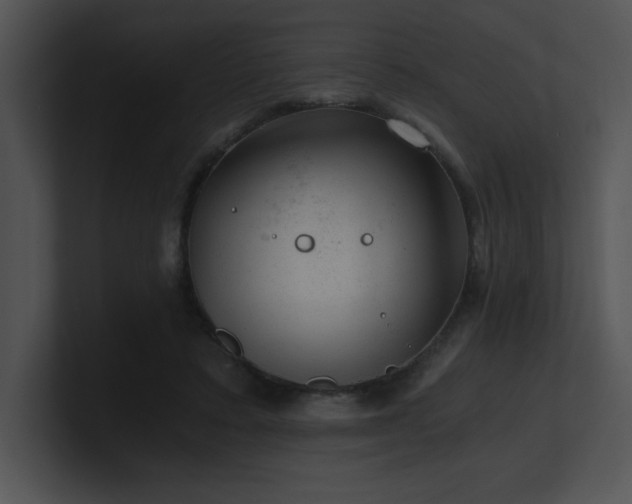X0000100900403200806241256