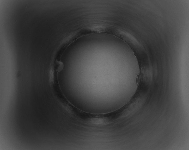 X0000100900404200806241256