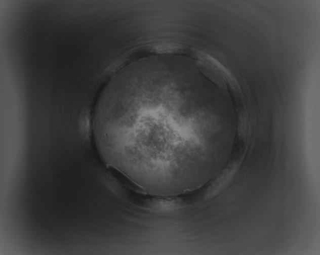 X0000100900405200806241256