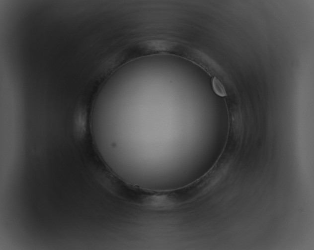 X0000100900406200806241256