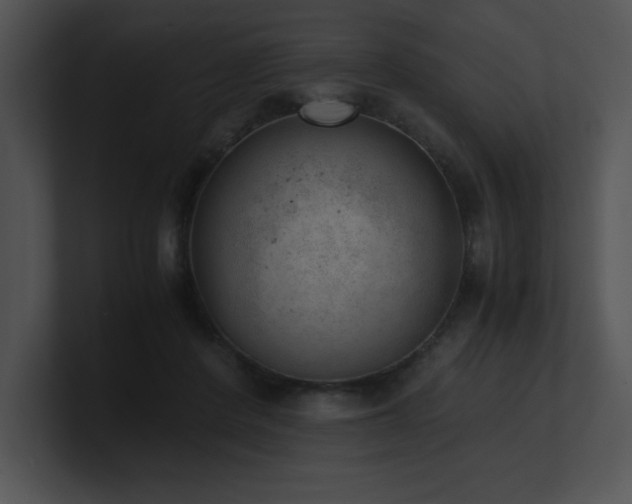 X0000100900408200806241256