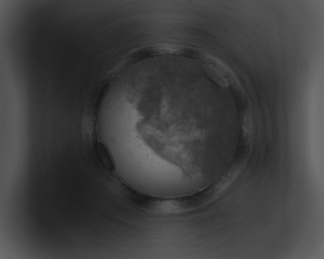 X0000100900409200806241256