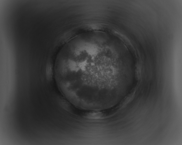 X0000100900410200806241256