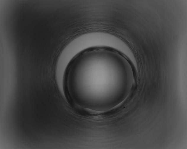X0000100900411200806241256