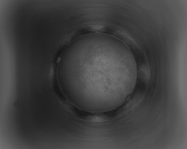 X0000100900412200806241256