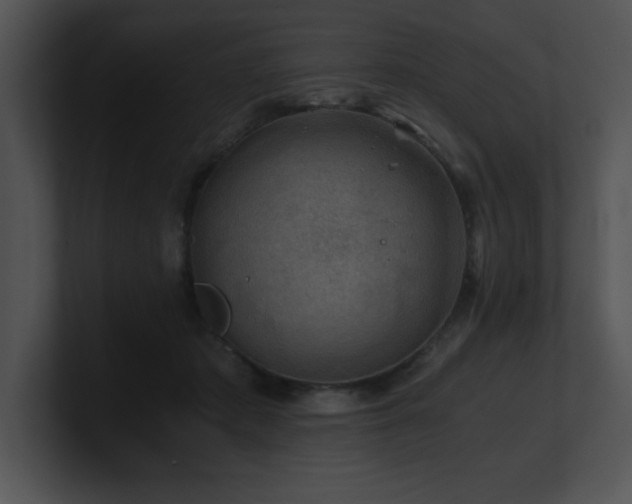 X0000100900413200806241256