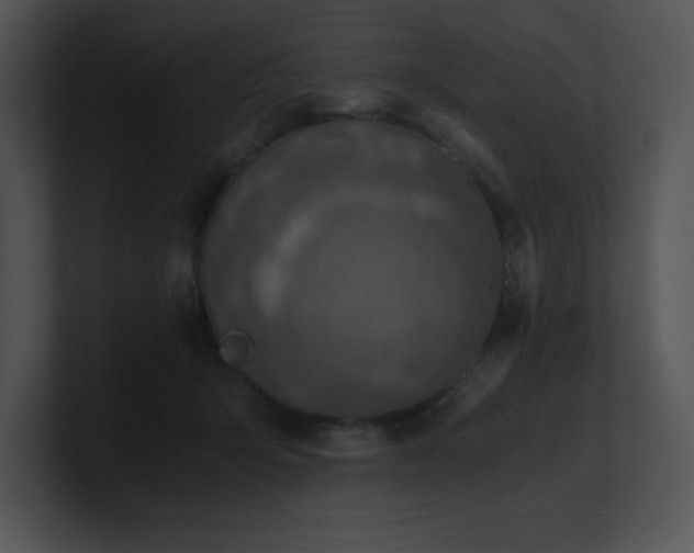 X0000100900415200806241256