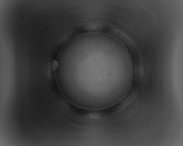 X0000100900416200806241256