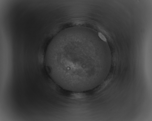 X0000100900417200806241256