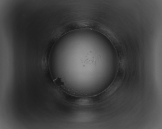 X0000100900418200806241256