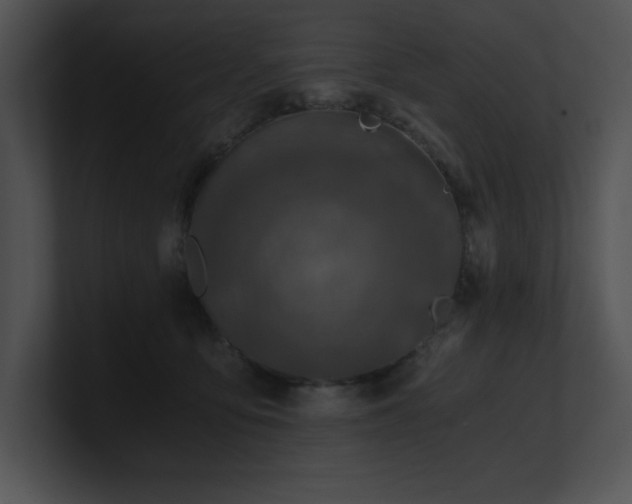 X0000100900419200806241256