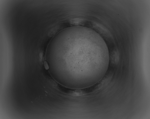 X0000100900420200806241256