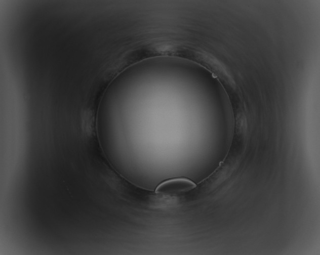 X0000100900421200806241256