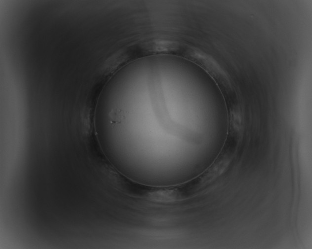 X0000100900422200806241256