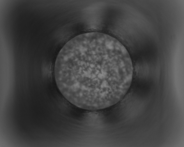 X0000100900423200806241256