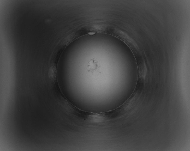 X0000100900425200806241256