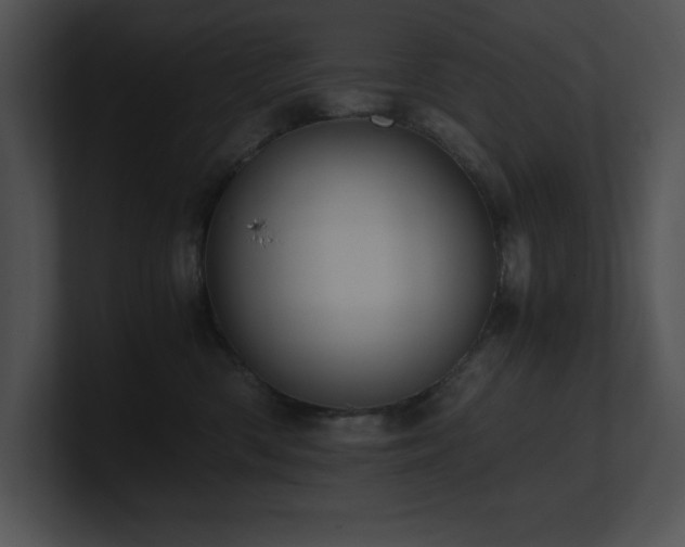 X0000100900426200806241256