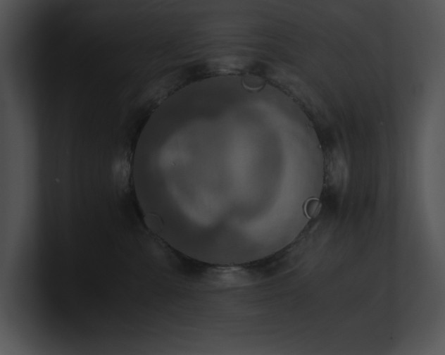 X0000100900427200806241256