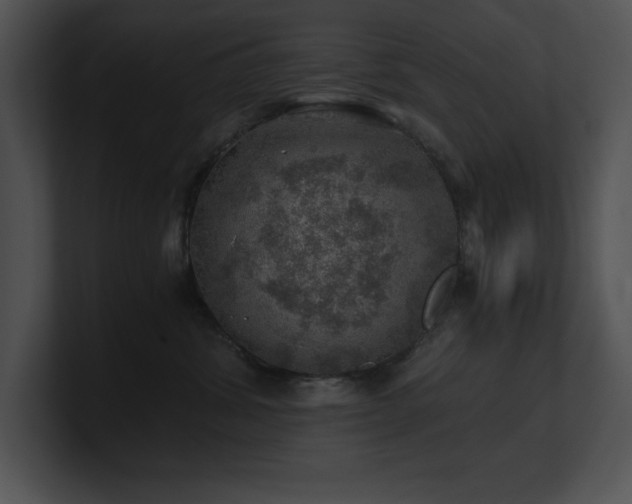 X0000100900428200806241256