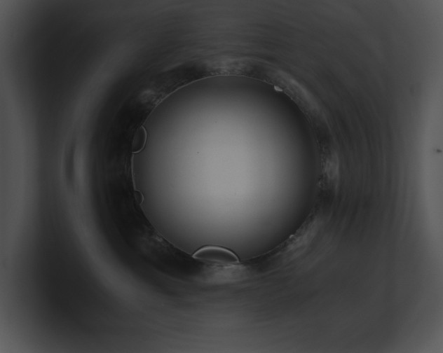X0000100900429200806241256