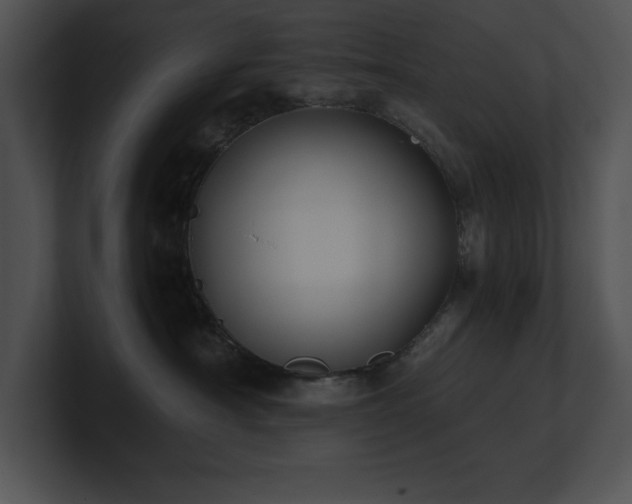 X0000100900430200806241256