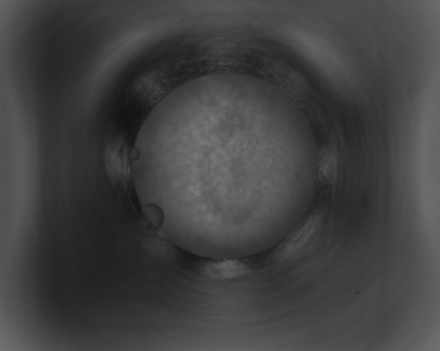 X0000100900431200806241256