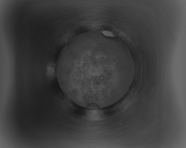 X0000100900432200806241256