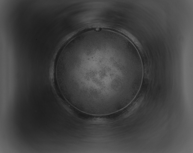 X0000100900437200806241255