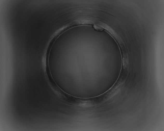 X0000100900438200806241255
