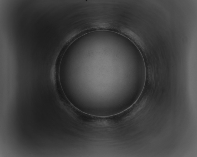 X0000100900439200806241255