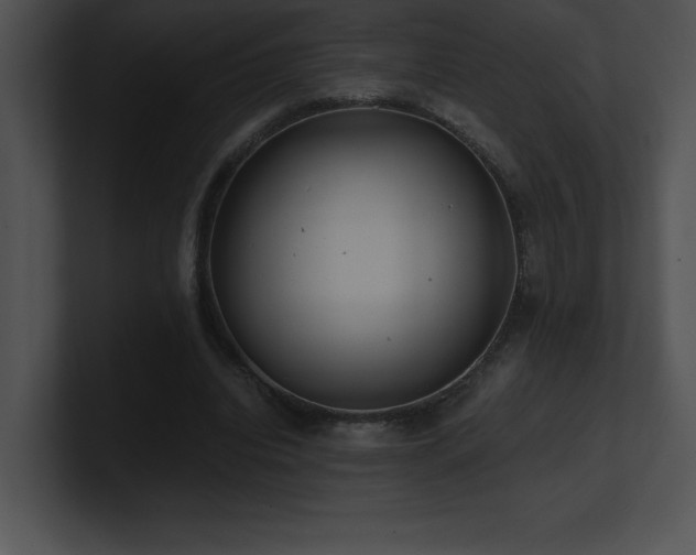 X0000100900440200806241255