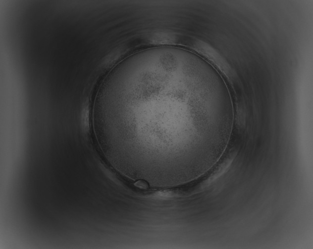 X0000100900441200806241255