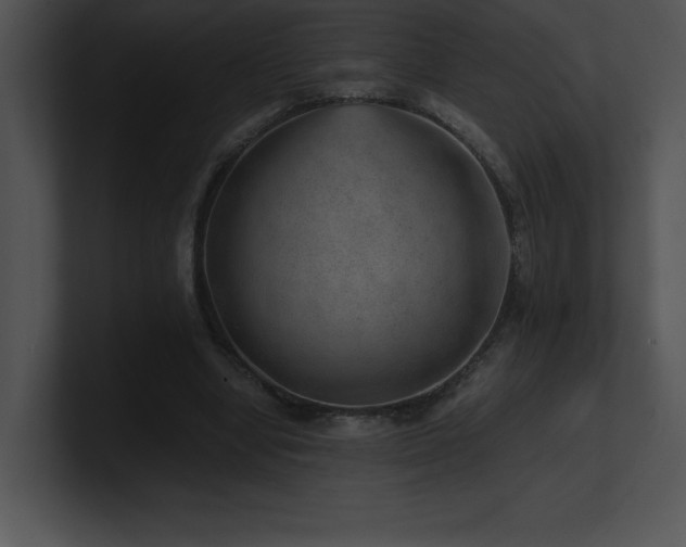 X0000100900442200806241255