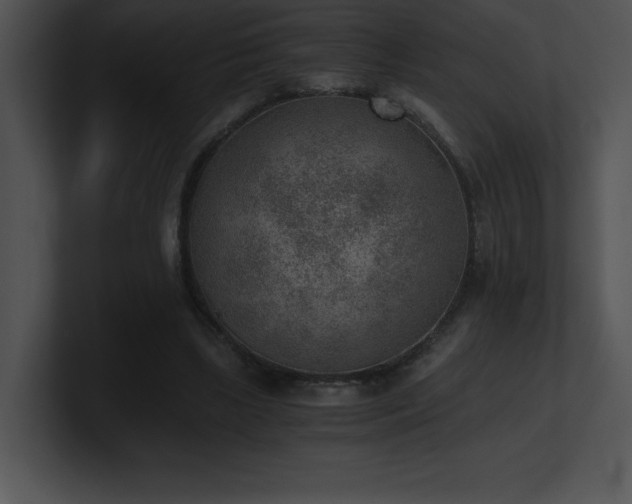 X0000100900443200806241255