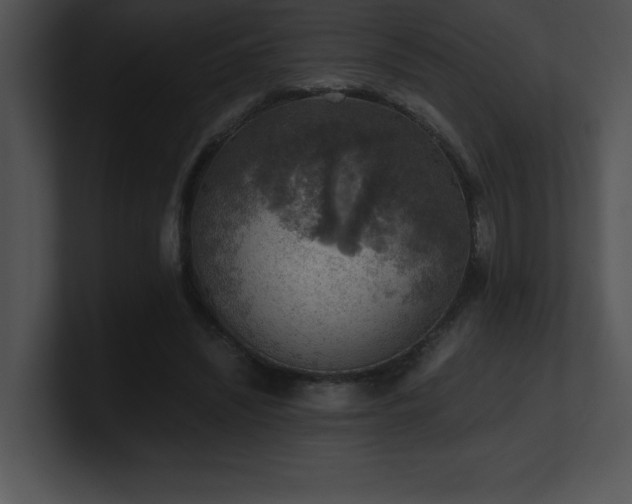 X0000100900444200806241255