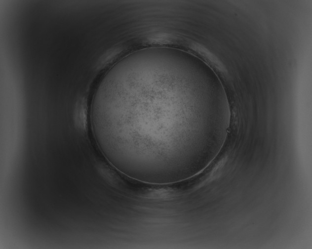 X0000100900446200806241256