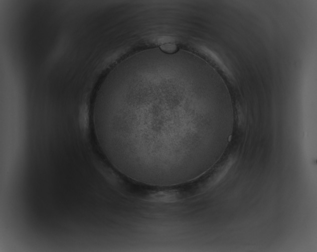 X0000100900447200806241256