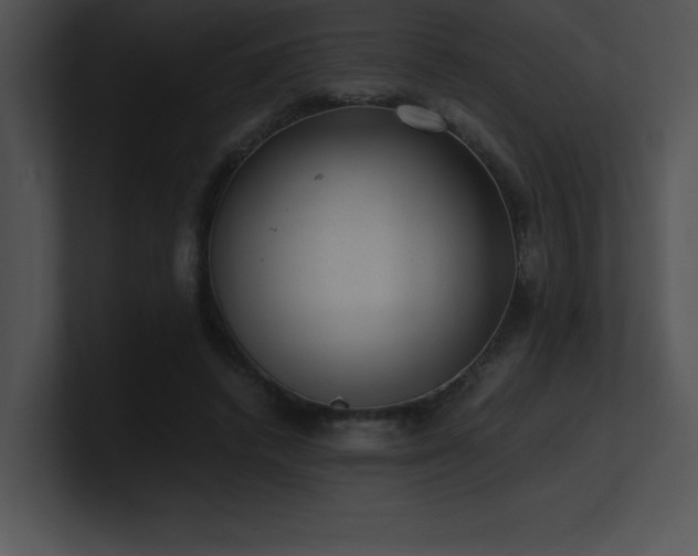 X0000100900448200806241256