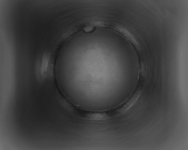 X0000100900449200806241256